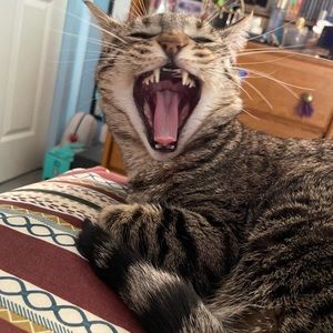 Meet your Posher, Maury